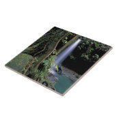 Dominica, Emerald Pool, Wasserfall. Fliese (Seite)