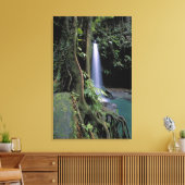 Dominica, Emerald Pool, Wasserfall. Leinwanddruck (Insitu (Wohnzimmer))