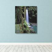 Dominica, Emerald Pool, Wasserfall. Leinwanddruck (Insitu (Holzboden))