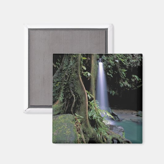 Dominica, Emerald Pool, Wasserfall. Magnet (Vorderseite/Rückseite)
