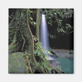 Dominica, Emerald Pool, Wasserfall. Magnet (Vorne)