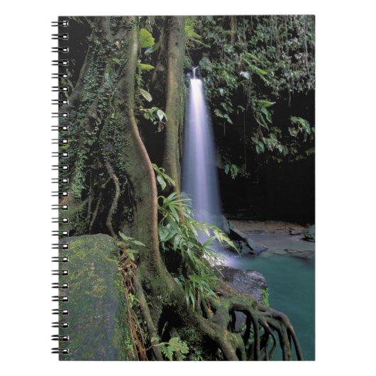 Dominica, Emerald Pool, Wasserfall. Notizblock (Vorderseite)
