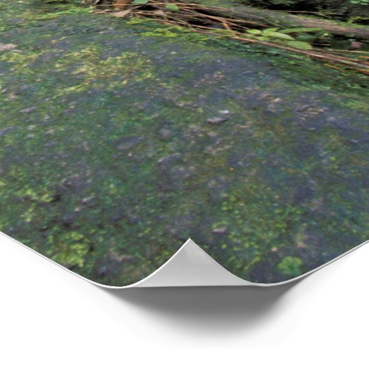 Dominica, Emerald Pool, Wasserfall. Poster (Ecke)