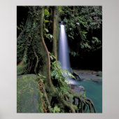 Dominica, Emerald Pool, Wasserfall. Poster (Vorne)