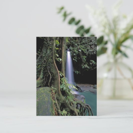 Dominica, Emerald Pool, Wasserfall. Postkarte (Stehend Vorderseite)