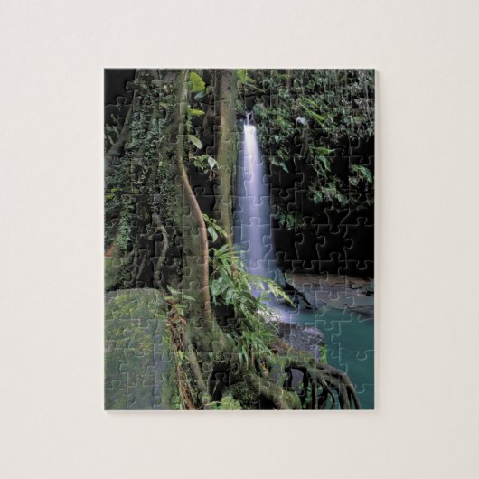 Dominica, Emerald Pool, Wasserfall. Puzzle (Vertikal)