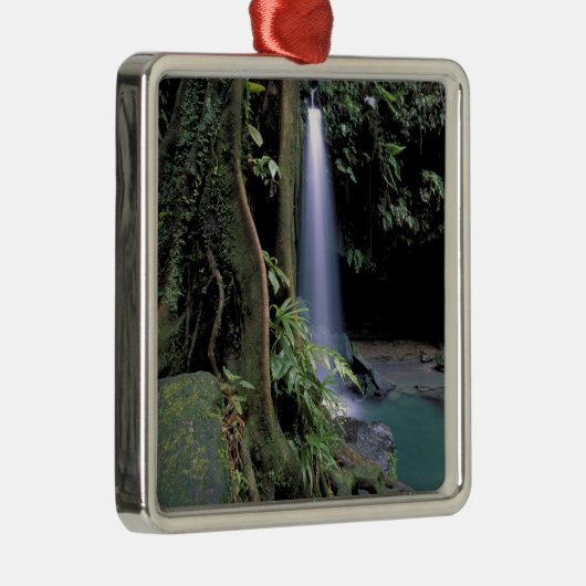 Dominica, Emerald Pool, Wasserfall. Silbernes Ornament (Rechts)