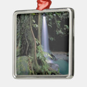 Dominica, Emerald Pool, Wasserfall. Silbernes Ornament (Links)