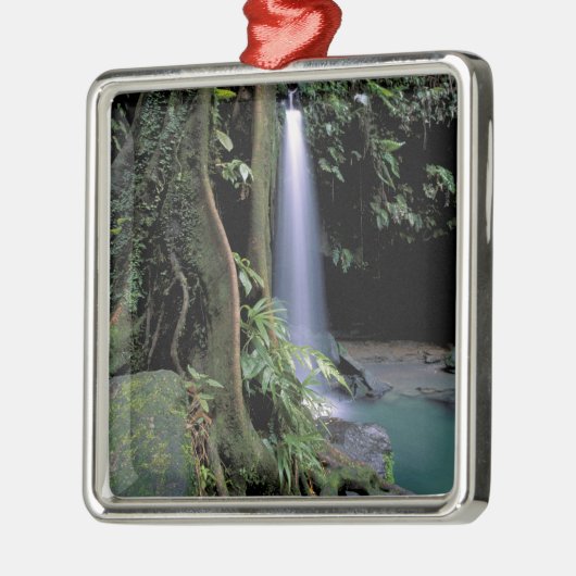 Dominica, Emerald Pool, Wasserfall. Silbernes Ornament (Links)
