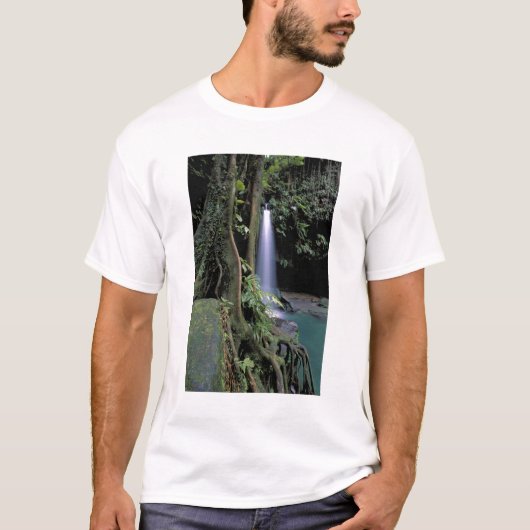 Dominica, Emerald Pool, Wasserfall. T-Shirt (Vorderseite)