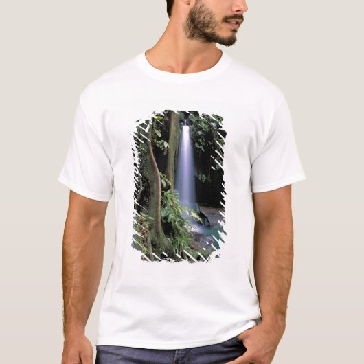 Dominica, Emerald Pool, Wasserfall. T-Shirt (Vorderseite)