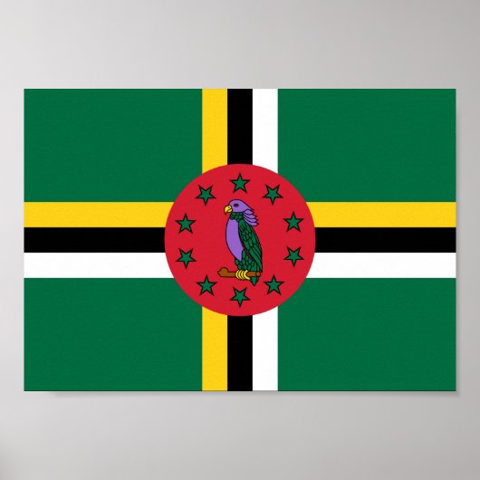 Dominica Flag Poster (Vorne)