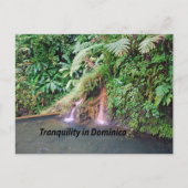 Dominica Postkarte (Vorderseite)