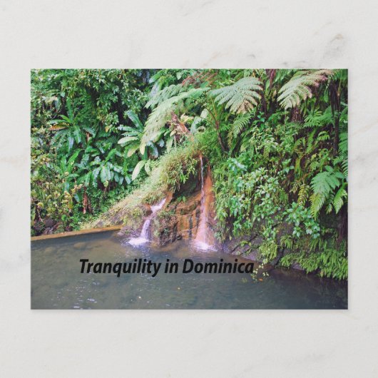 Dominica Postkarte (Vorderseite)