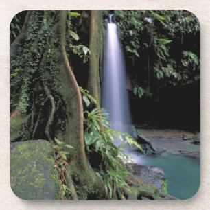 Dominica, Smaragdpool, Wasserfall. Getränkeuntersetzer