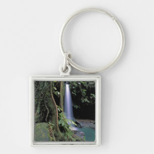 Dominica, Smaragdpool, Wasserfall. Schlüsselanhänger