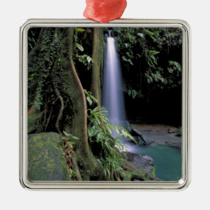 Dominica, Smaragdpool, Wasserfall. Silbernes Ornament