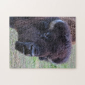 Dominierender Stier-Bison Puzzle (Horizontal)