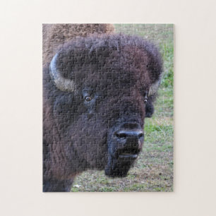 Dominierender Stier-Bison Puzzle