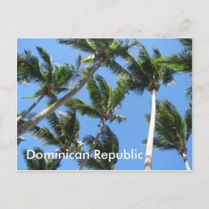 Dominikanische Palme Postkarte