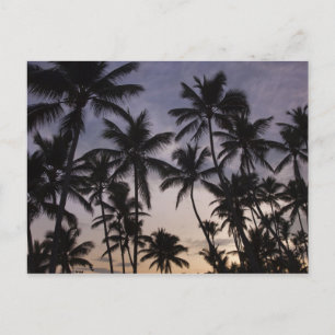 Dominikanische Republik, Halbinsel Samana, Las 2 Postkarte