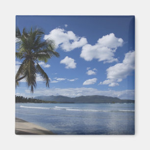 Dominikanische Republik, Halbinsel Samana, Las 4 Magnet