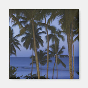 Dominikanische Republik, Halbinsel Samana, Las Magnet