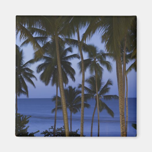 Dominikanische Republik, Halbinsel Samana, Las Magnet (Vorne)