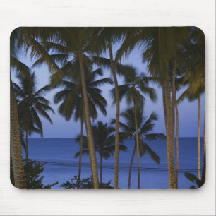 Dominikanische Republik, Halbinsel Samana, Las Mousepad