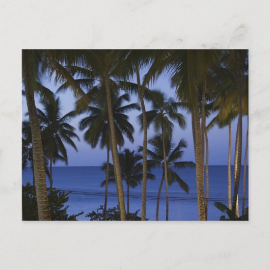 Dominikanische Republik, Halbinsel Samana, Las Postkarte (Vorderseite)