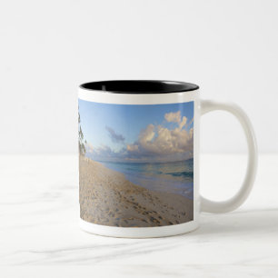 Dominikanische Republik, La Altagracia, Punta Cana Zweifarbige Tasse