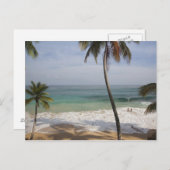 Dominikanische Republik, Nordküste, Abreu, Playa 4 Postkarte (Vorne/Hinten)