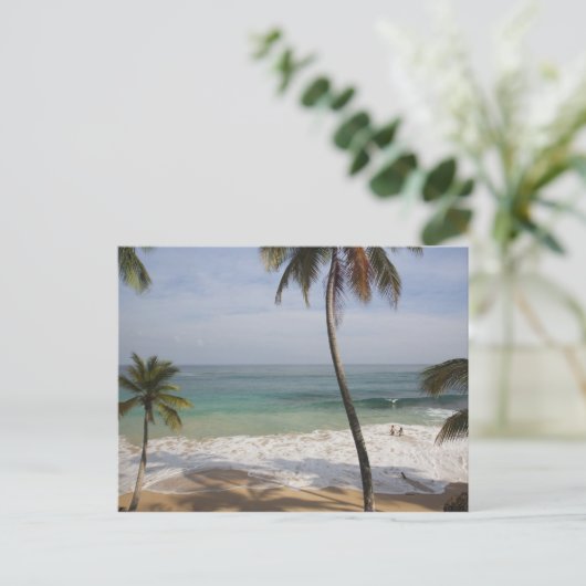 Dominikanische Republik, Nordküste, Abreu, Playa 4 Postkarte (Stehend Vorderseite)