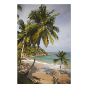 Dominikanische Republik, Nordküste, Abreu, Playa Fotodruck