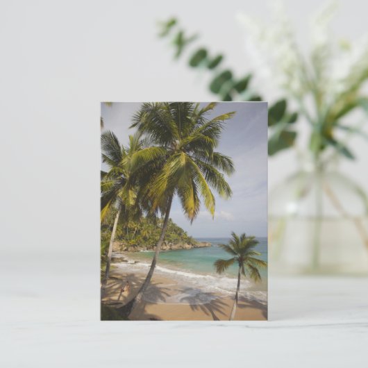 Dominikanische Republik, Nordküste, Abreu, Playa Postkarte (Stehend Vorderseite)