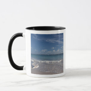 Dominikanische Republik, Punta Cana Region, Bavaro Tasse