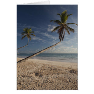 Dominikanische Republik, Region Punta Cana, Bavaro