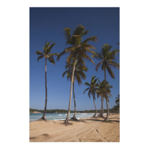Dominikanische Republik, Region Punta Cana, El Fotodruck