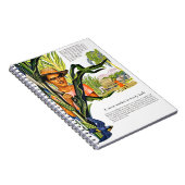 Dominikanische Republik, Rohrzuckerplantage, Notizblock (Rechte Seite)