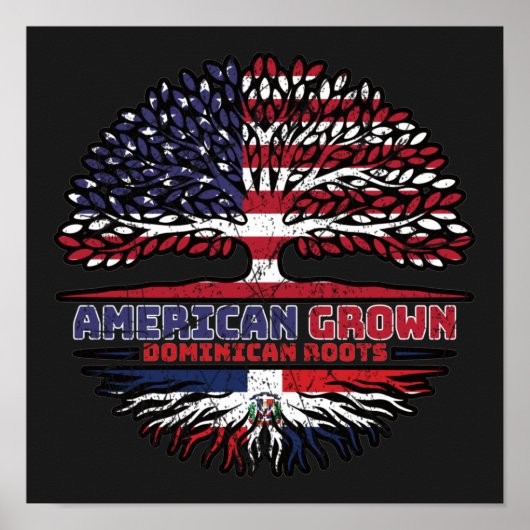 Dominikanische Republik USA Vereinigte Staaten Sta Poster (Vorne)