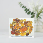 Dominikanischer Bernstein mit verschiedenen Insekt Postkarte (Stehend Vorderseite)