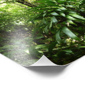 Dominikanischer Regenwald I Tropische Natur Fotodruck (Ecke)