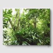 Dominikanischer Regenwald I Tropische Natur Gästebuch (Rückseite)