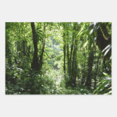 Dominikanischer Regenwald I Tropische Natur Geschenkpapier Set (Vorderseite 2)