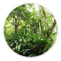 Dominikanischer Regenwald I Tropische Natur