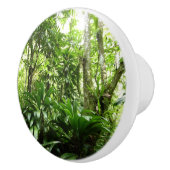 Dominikanischer Regenwald I Tropische Natur Keramikknauf (Rechts)