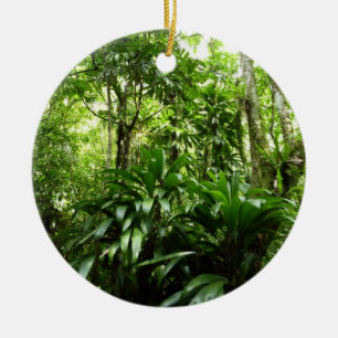 Dominikanischer Regenwald I Tropische Natur Keramikornament