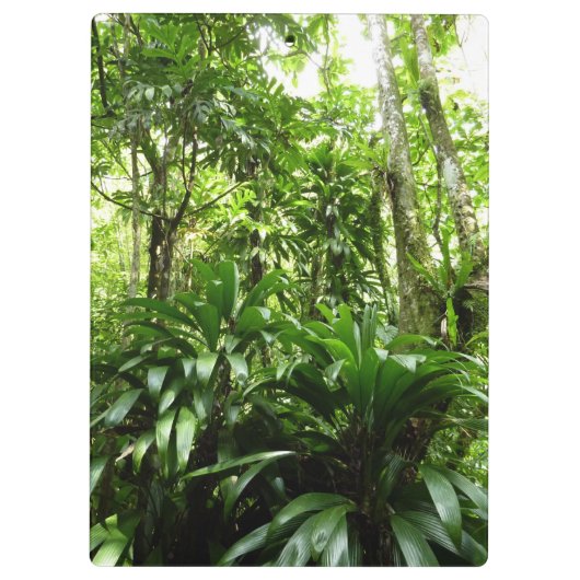 Dominikanischer Regenwald I Tropische Natur Klemmbrett (Rückseite)