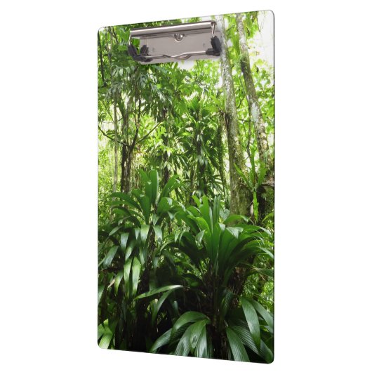 Dominikanischer Regenwald I Tropische Natur Klemmbrett (Links)