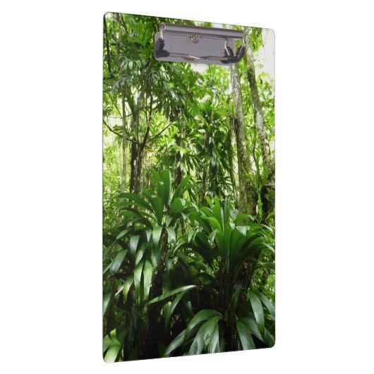 Dominikanischer Regenwald I Tropische Natur Klemmbrett (Rechts)